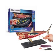 Discovery Anatomy Shark Kit