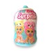 Lil Baby Surprise in CDU