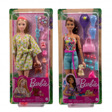 Barbie Fitness & Wellness