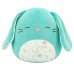 Squishmallow Misfit Assortment
